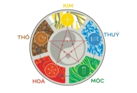 Sơn Nhà Phong Thủy Tại Tphcm